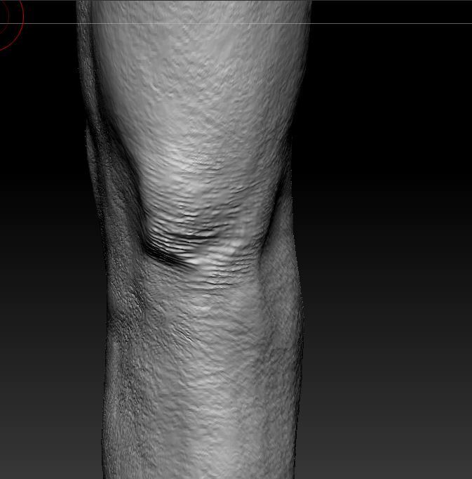 Old Man - Leg Details