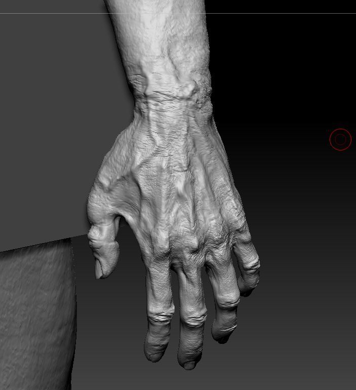 Old Man - Hand Details