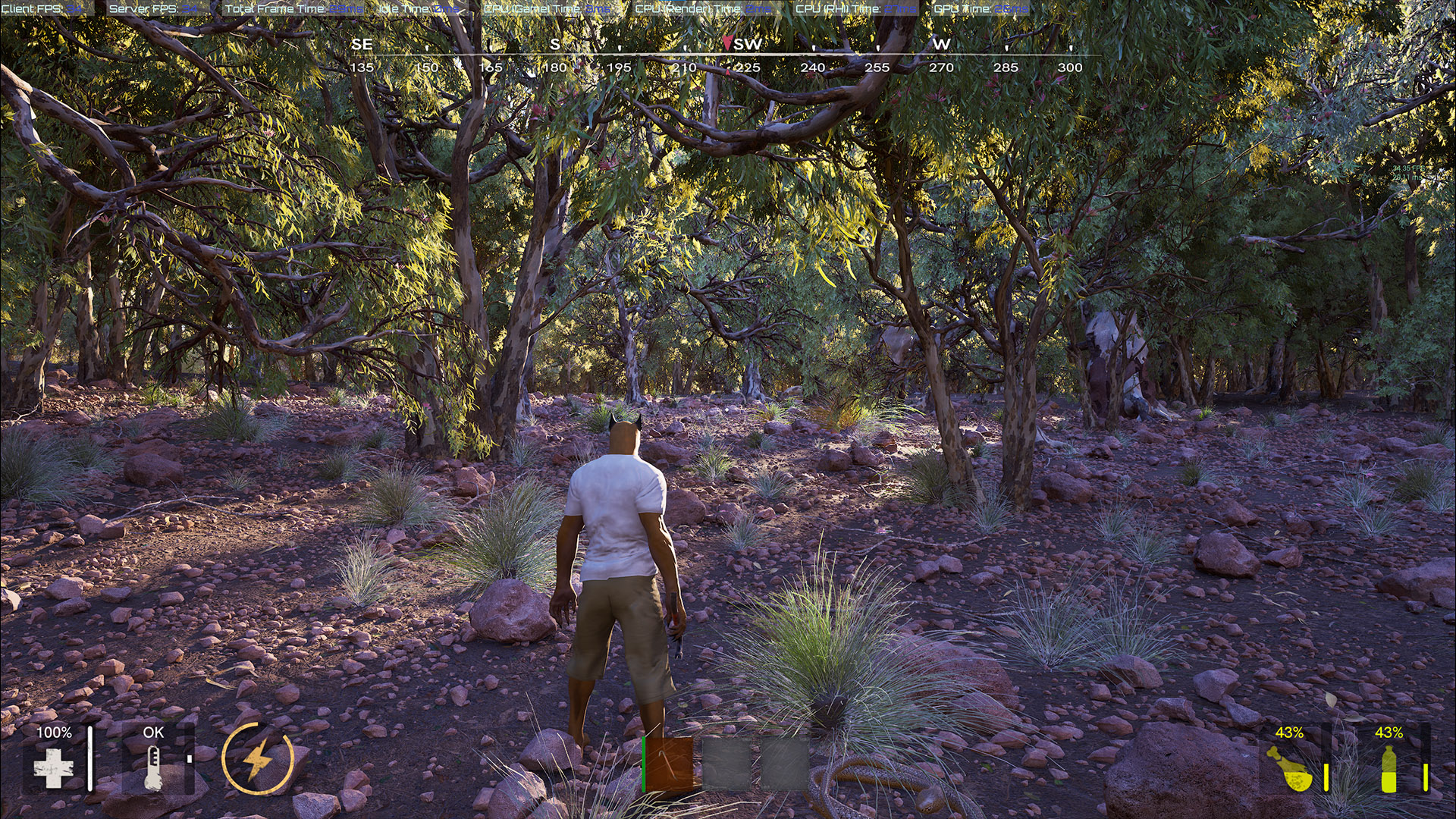 Detailed Environment