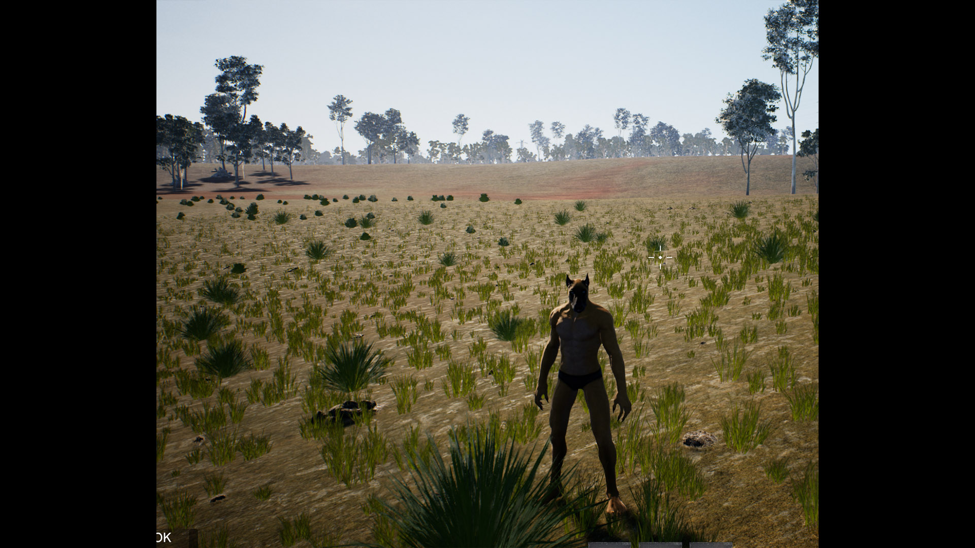 Early Landscape Development