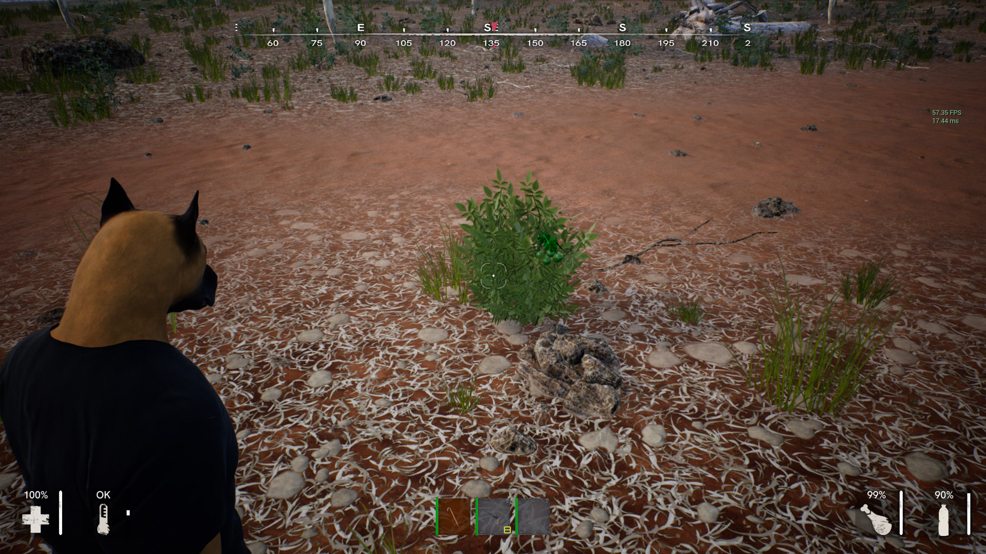 Initial Environment Setup