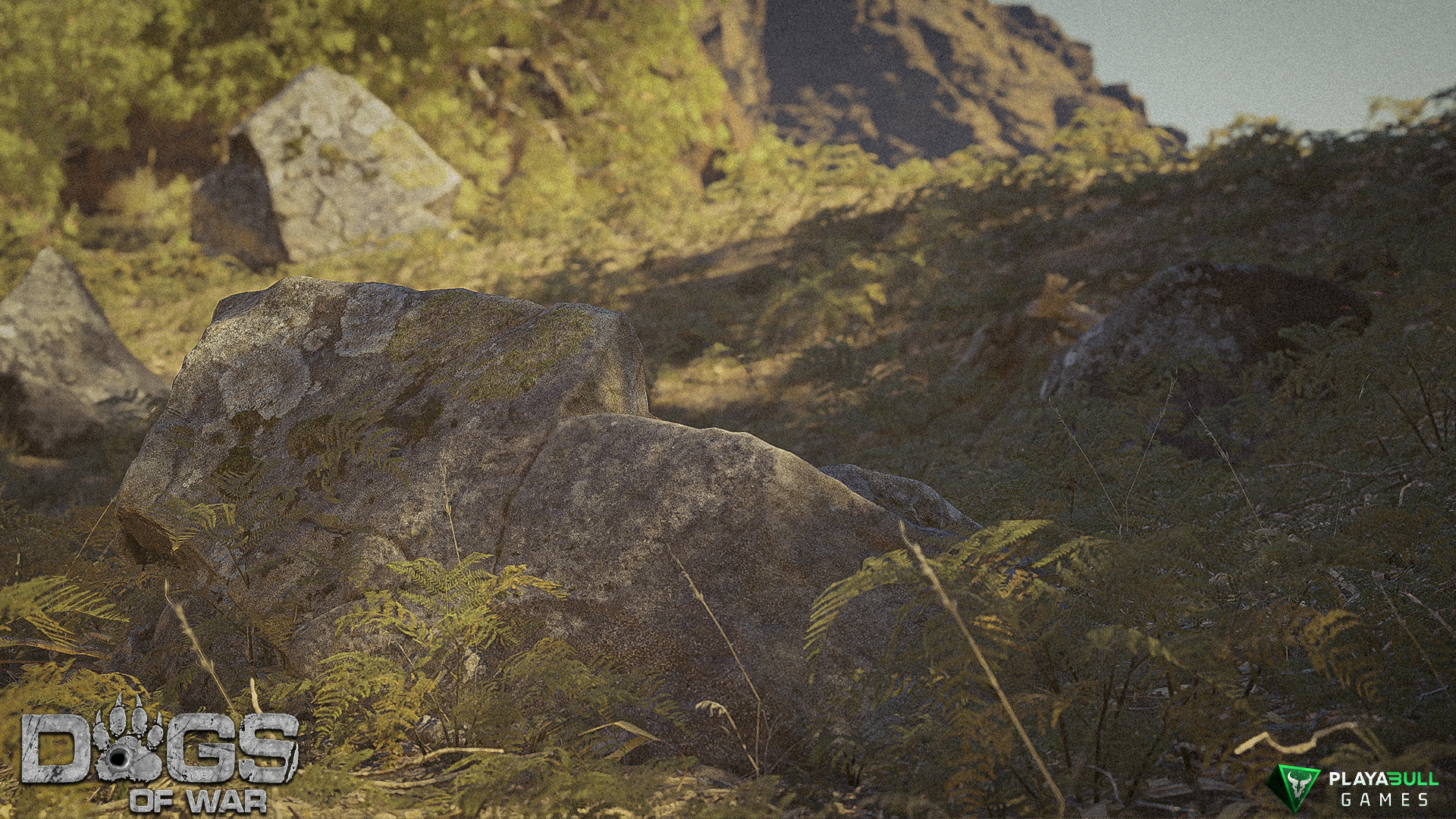 Environment Render 13