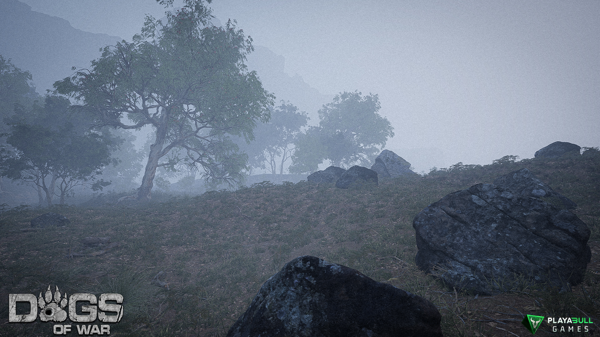 Environment Render 14