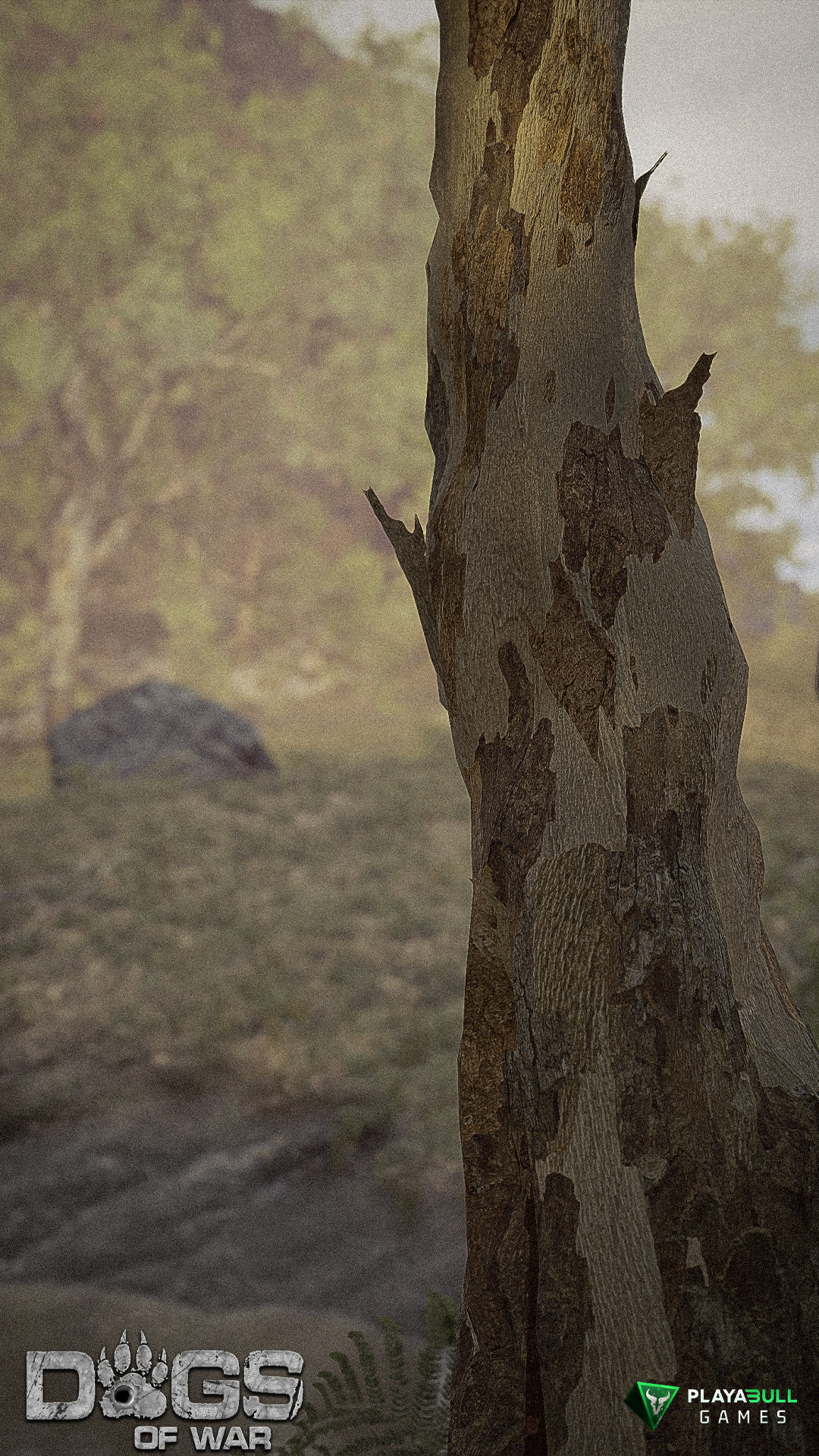 Environment Render 15