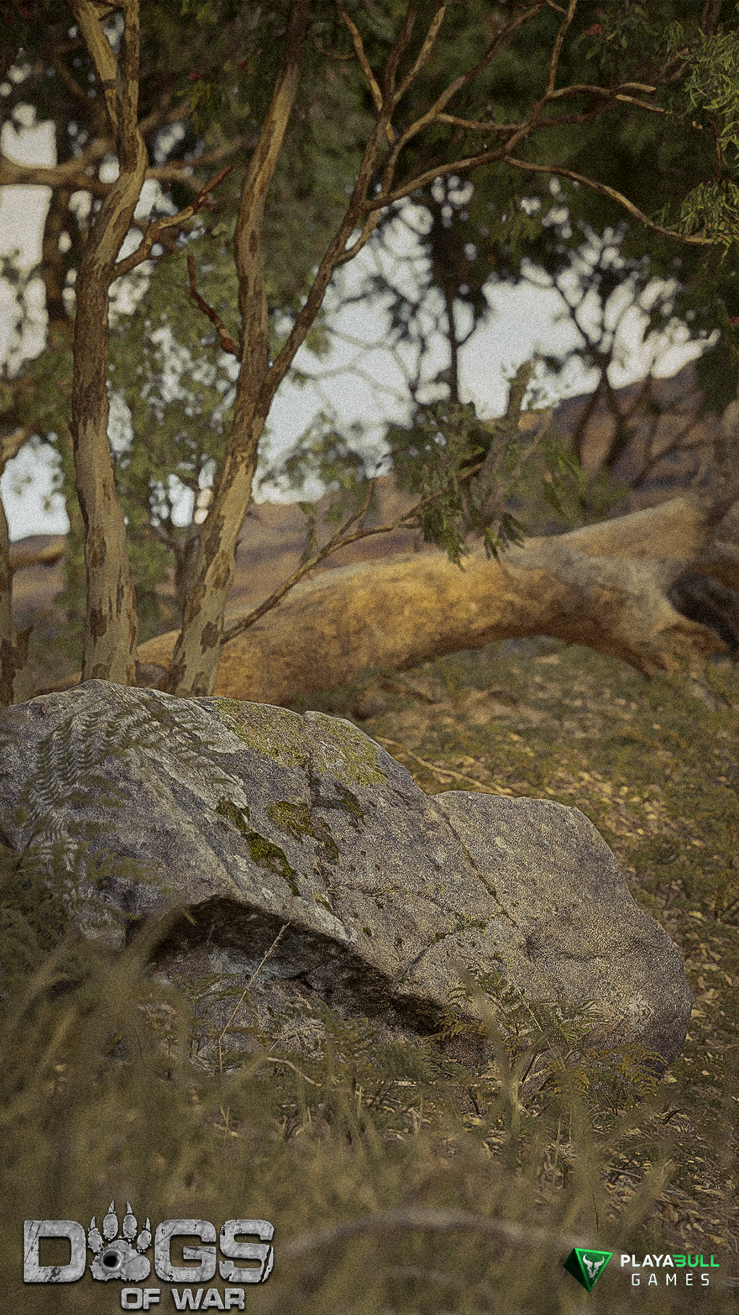 Environment Render 1