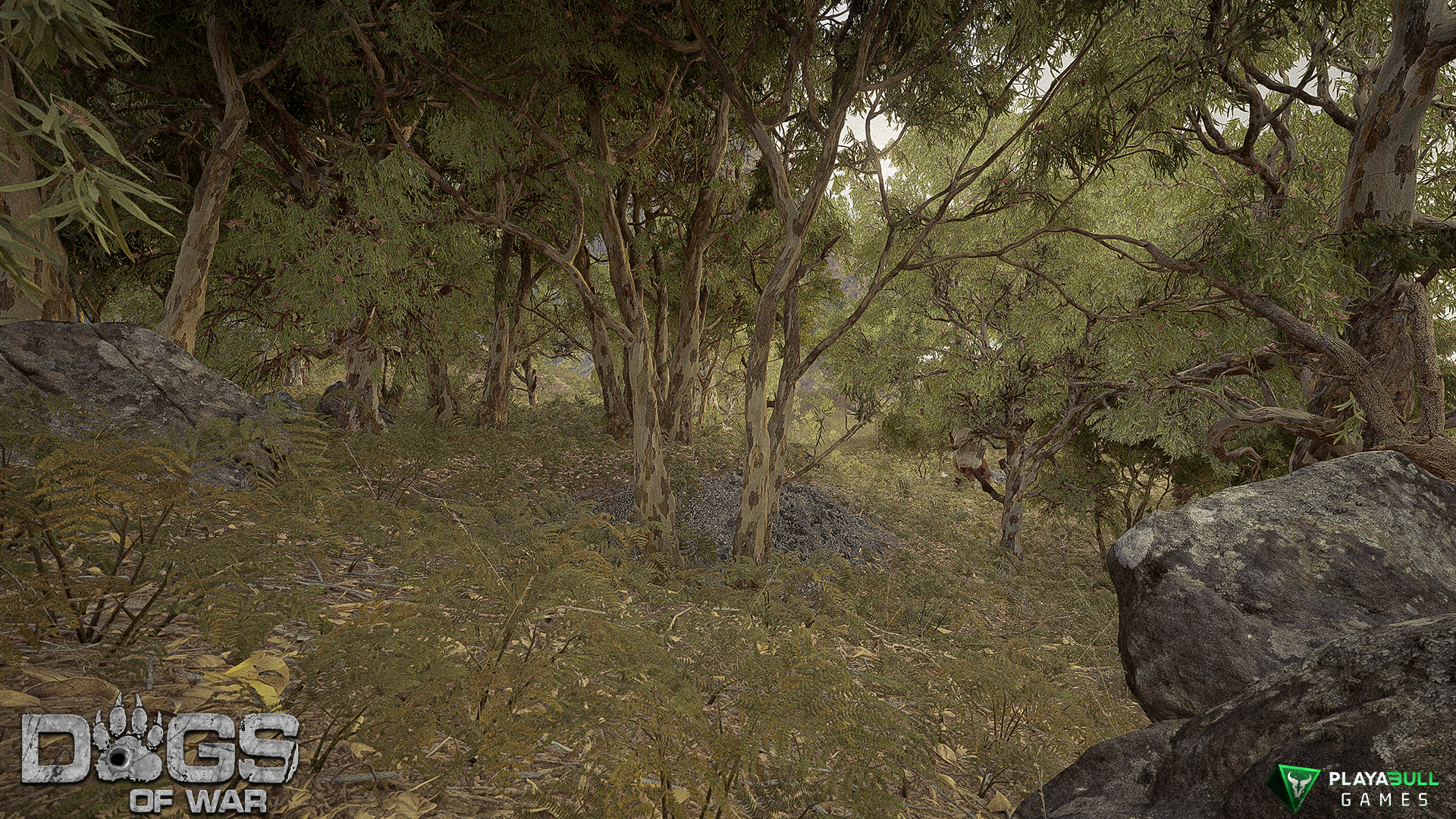 Environment Render 3