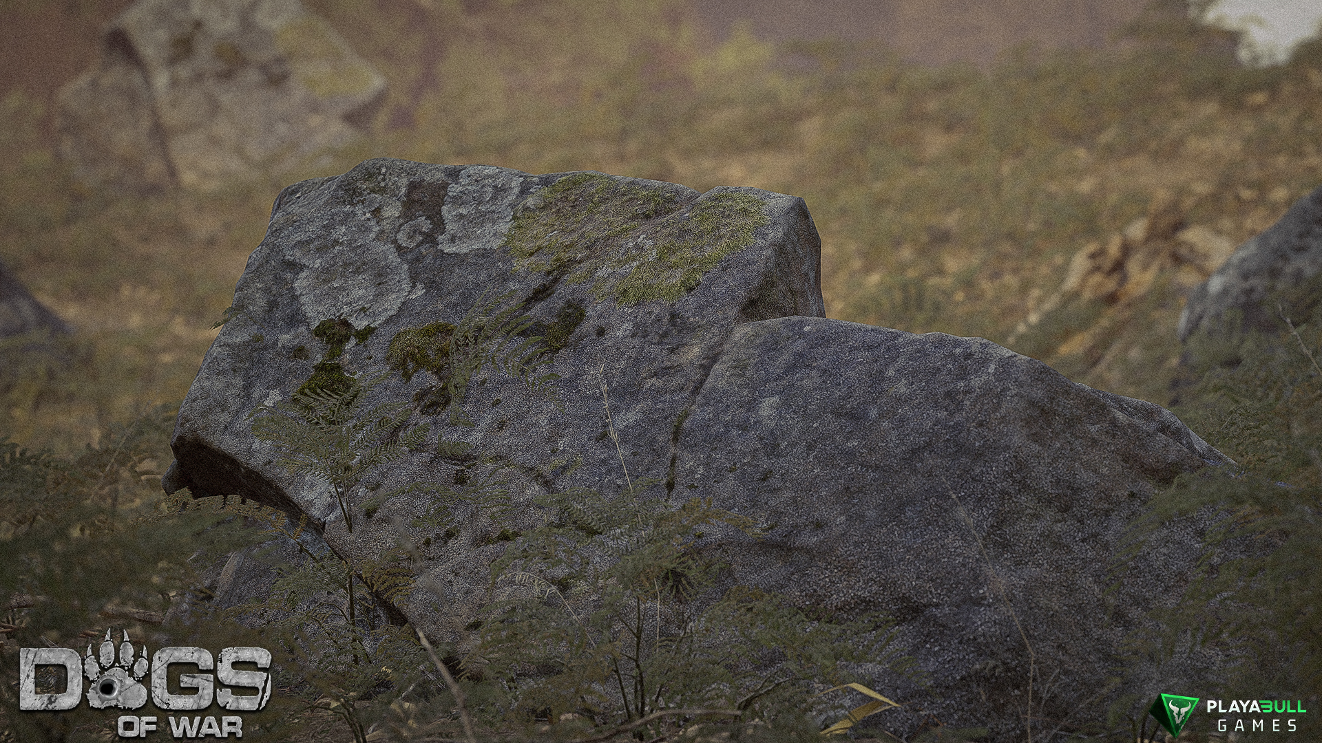 Environment Render 5