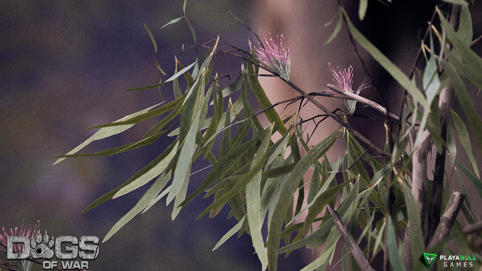 Environment Render 7