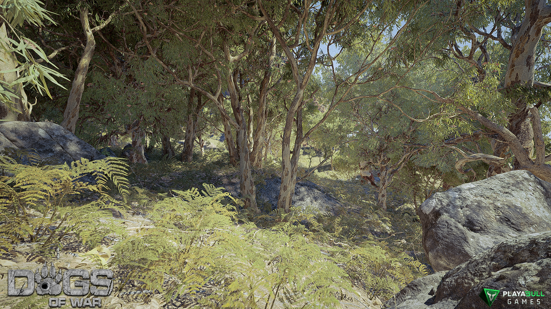 Environment Render 11